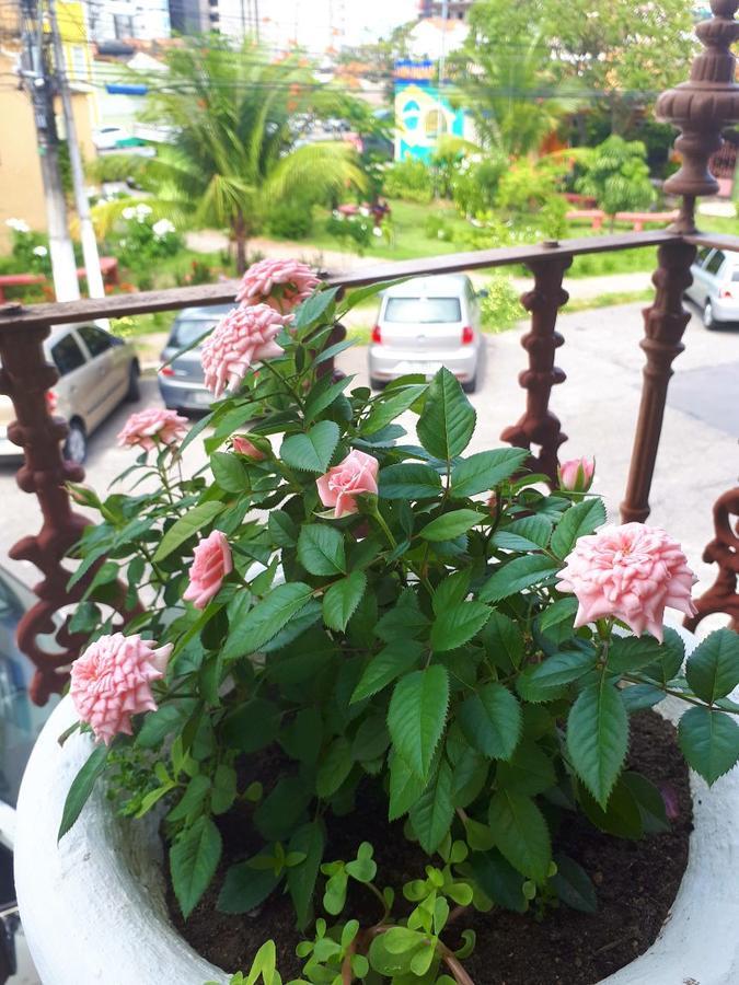 Casa Da Josi - Pajucara Apartment Maceio  Ngoại thất bức ảnh